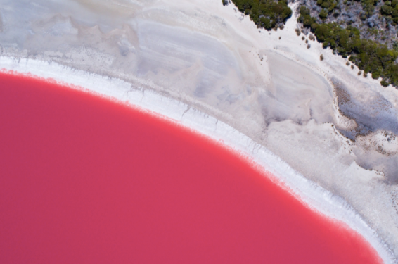  LAKE HILLIER 